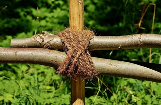 Seilknoten Zaunbefestigung